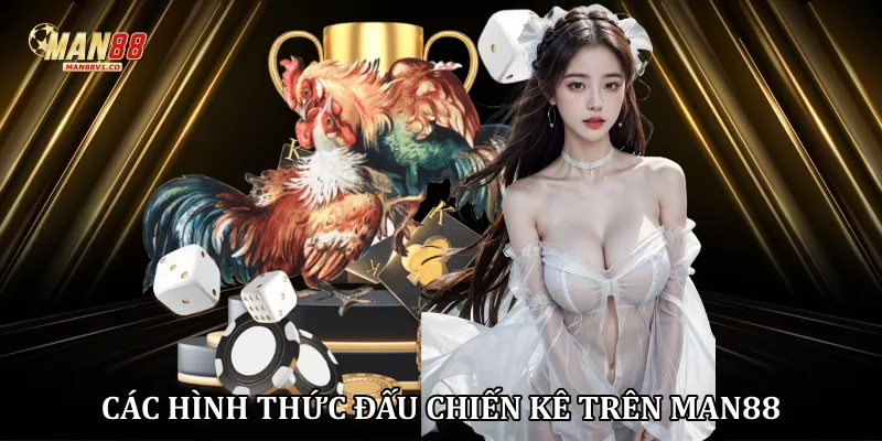 Đá Gà Man88 - Sân Chơi Cá Cược Kê Chiến Đỉnh Cao 2026 Các hình thức đấu chiến kê trên Man88